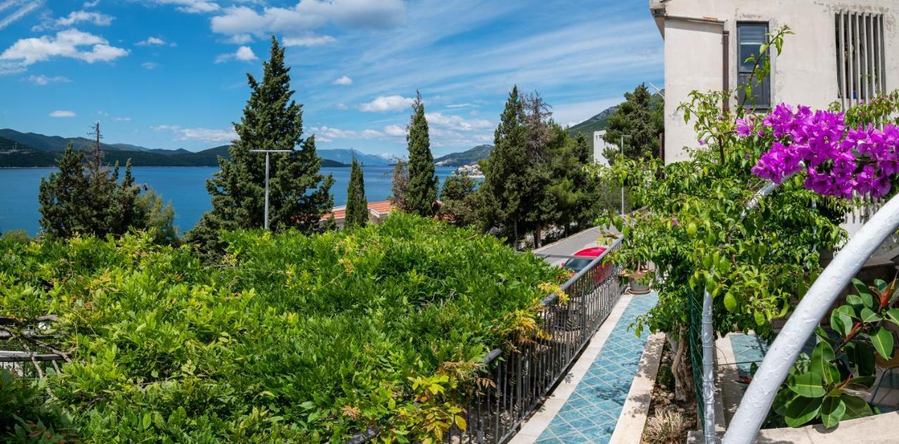 Apartments Tamaris Neum Buitenkant foto